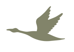 itinery icon