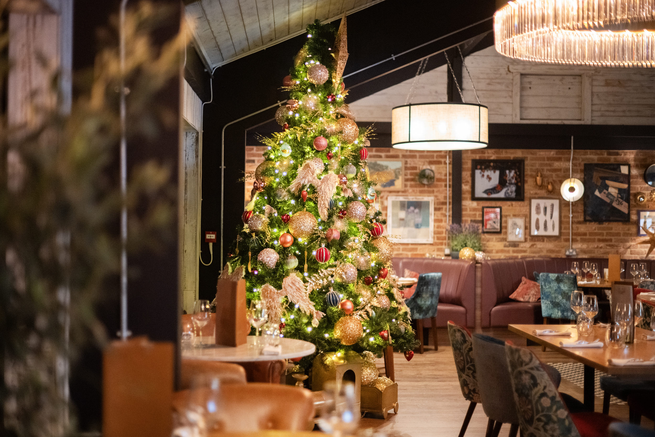Christmas decorations on the terrace at The Nest.