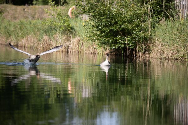 The ultimate UK summer staycation at Bainland Lodge Retreats in Woodhall Spa, Lincolnshire.