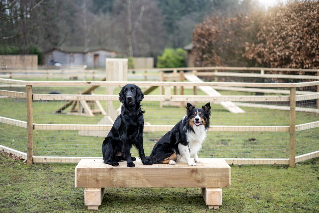 Our new dog agility course for all dogs to enjoy while on their dog friendly holiday.